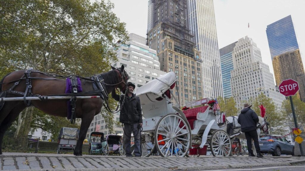 nueva-york-aprueba-prohibir-carruajes-de-caballos-en-2028
